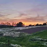 Lysbjerggard 3*
