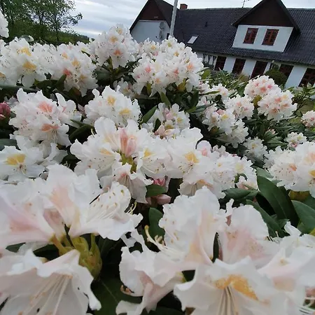Panzió Lysbjerggard Fåborg
