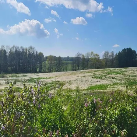 Lysbjerggard Bed & Breakfast