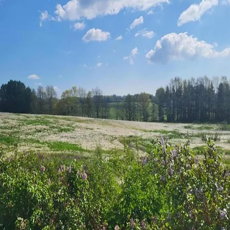 Lysbjerggard Фоборг