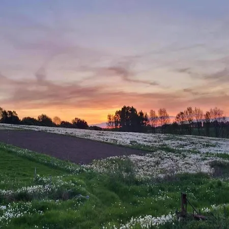 Lysbjerggard بيت للعطل