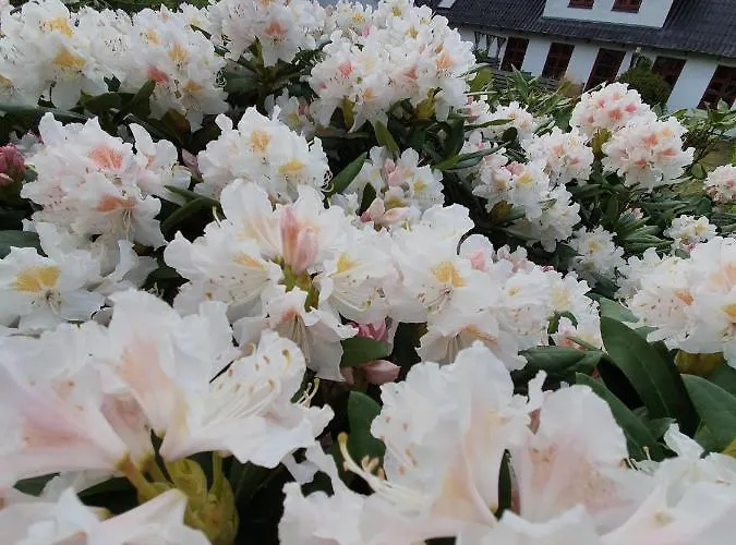 Apartment Lysbjerggard Faaborg