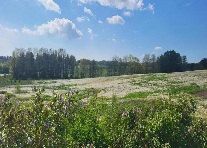 Lysbjerggard Apartment