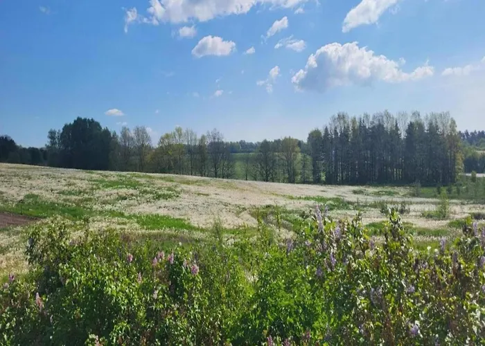 Lysbjerggard Faaborg