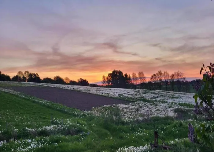 Lysbjerggard Apartment